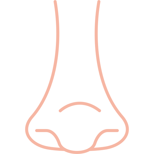 Rhinology free icon Rhinology free icon