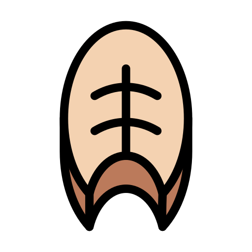 고기 무료 아이콘