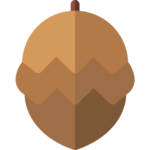 pomme de pin Icône gratuit pomme de pin Icône gratuit