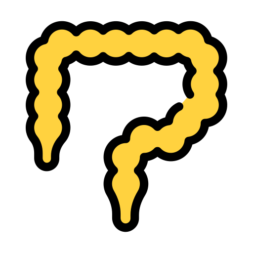 körper kostenlos Icon
