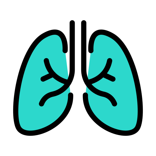 humain Icône gratuit