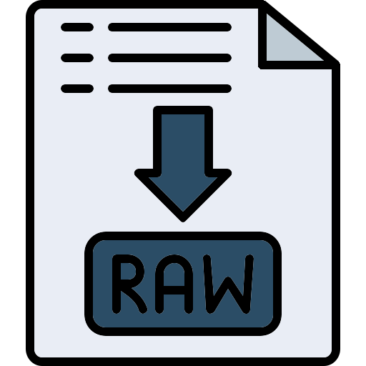 archivo raw icono gratis