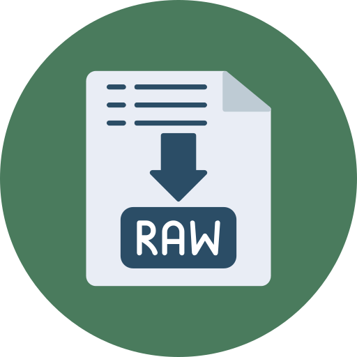 archivo raw icono gratis