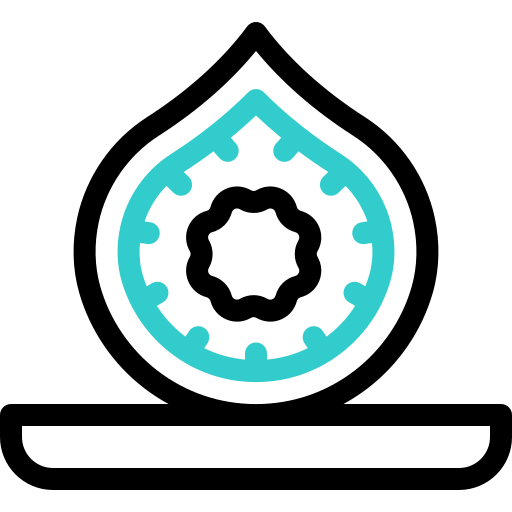 Fig free icon