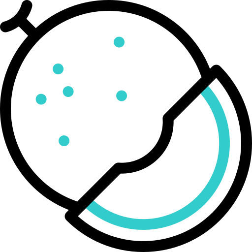 melon Icône gratuit