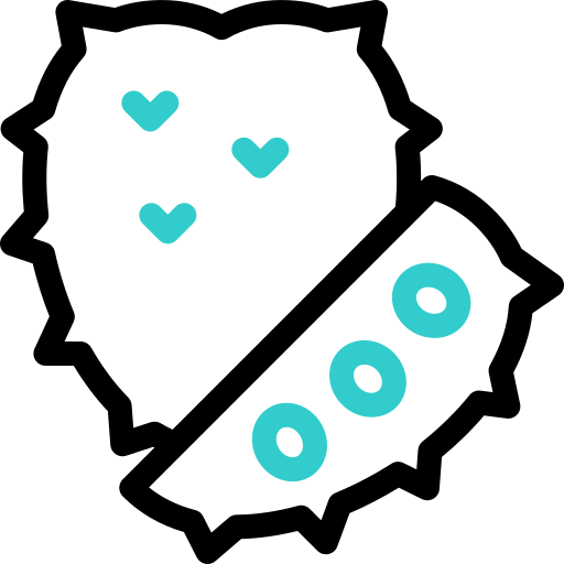 guanábana icono gratis