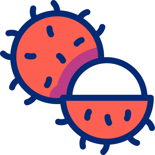 rambután icono gratis