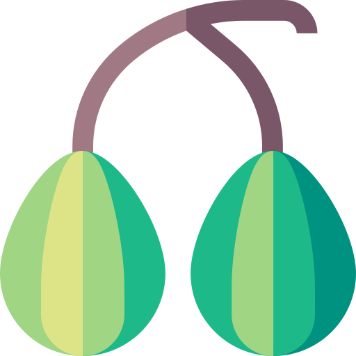 alcaparra icono gratis alcaparra icono gratis