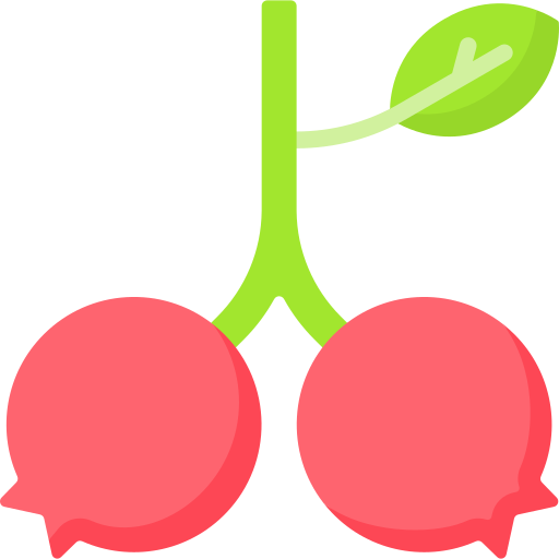 arándano rojo icono gratis