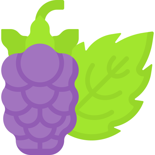 loganberry icono gratis