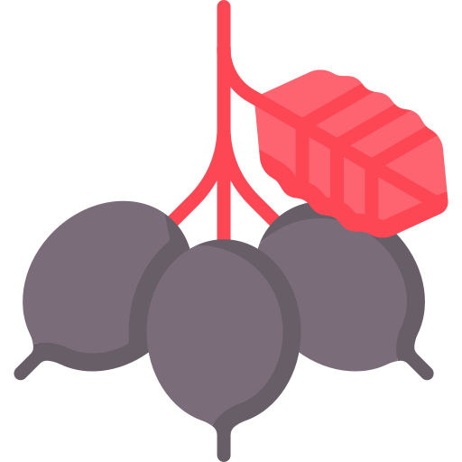 nannyberry Icône gratuit