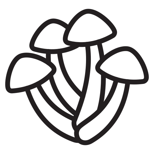 Nature free icon Nature free icon