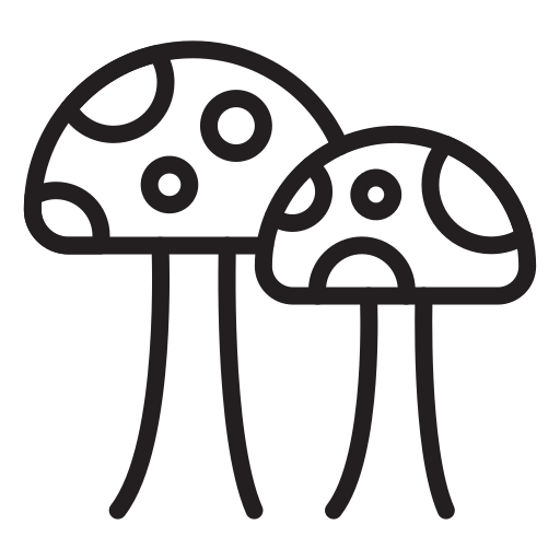 Nature free icon Nature free icon