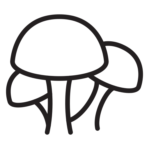 Nature free icon Nature free icon