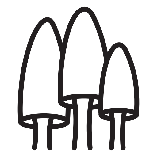 Nature free icon