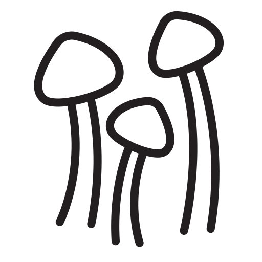 Nature free icon Nature free icon
