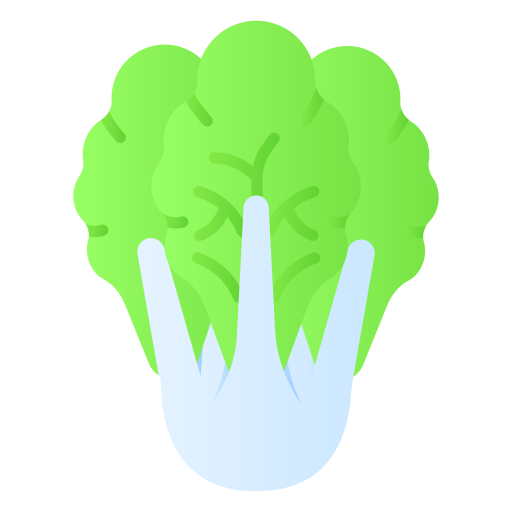 Cabbage free icon Cabbage free icon
