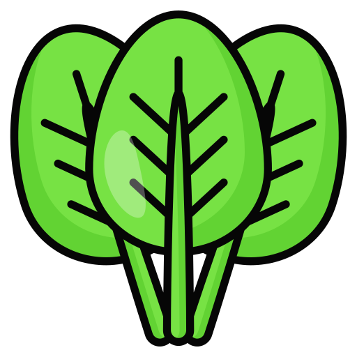 Épinard Icône gratuit Épinard Icône gratuit