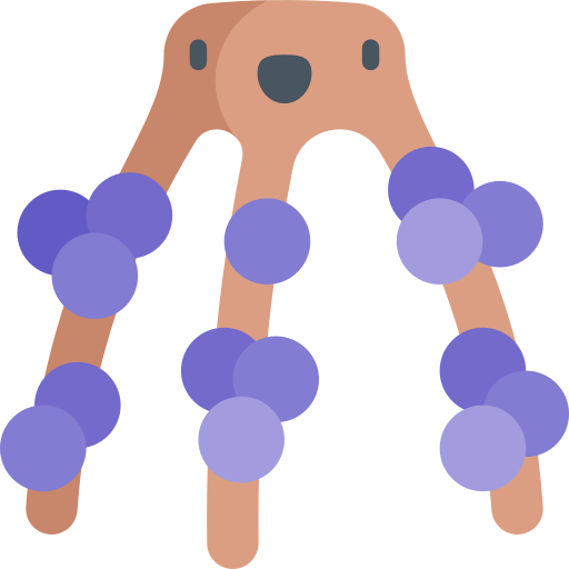 Acai free icon