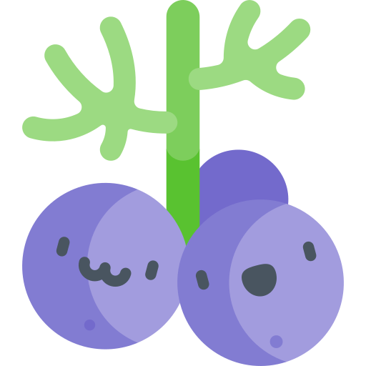 Cedar berry free icon Cedar berry free icon