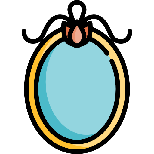 Зеркало бесплатно иконка