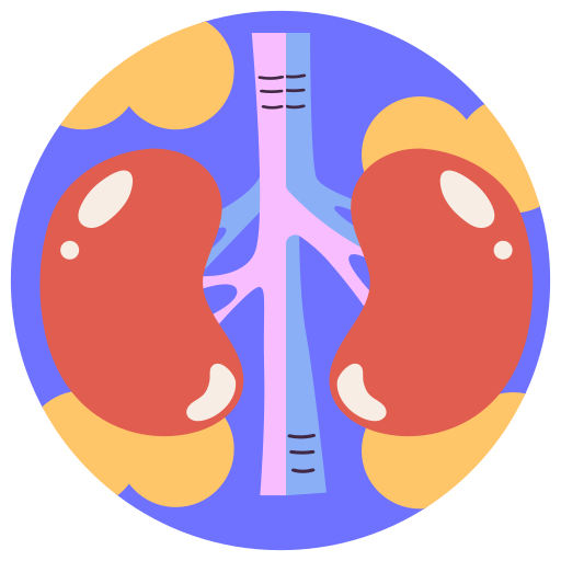 Kidneys free sticker