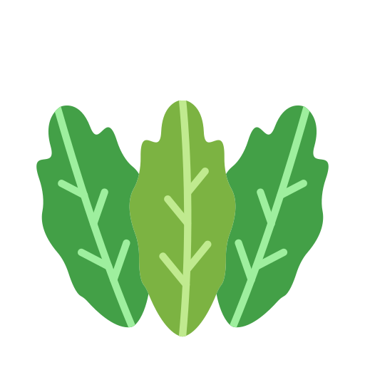kopfsalat kostenlos Icon kopfsalat kostenlos Icon