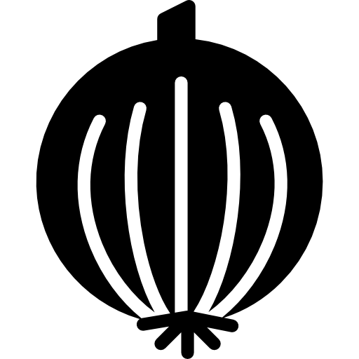 Onion Basic Miscellany Fill icon