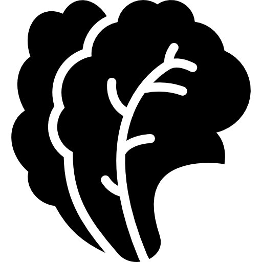 ensalada icono gratis