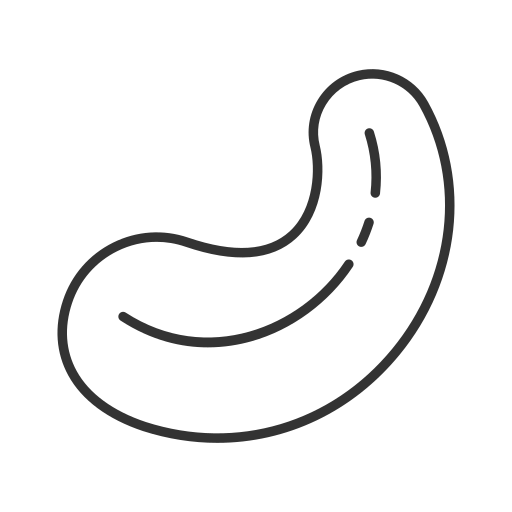 anacardo icono gratis
