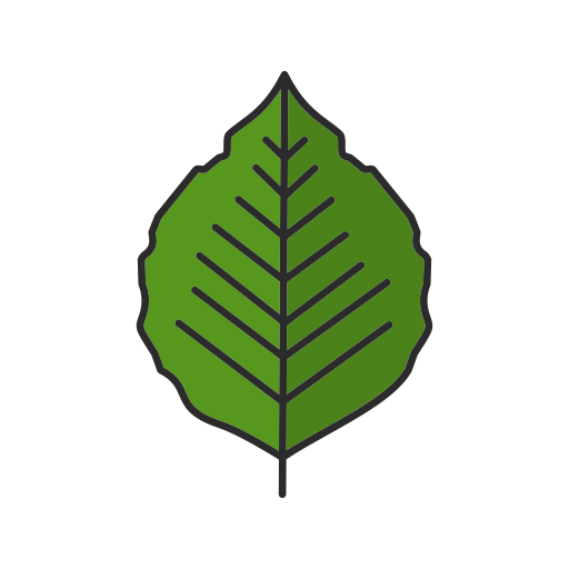 naturaleza icono gratis