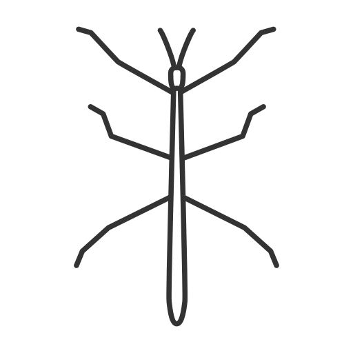 Insect free icon Insect free icon