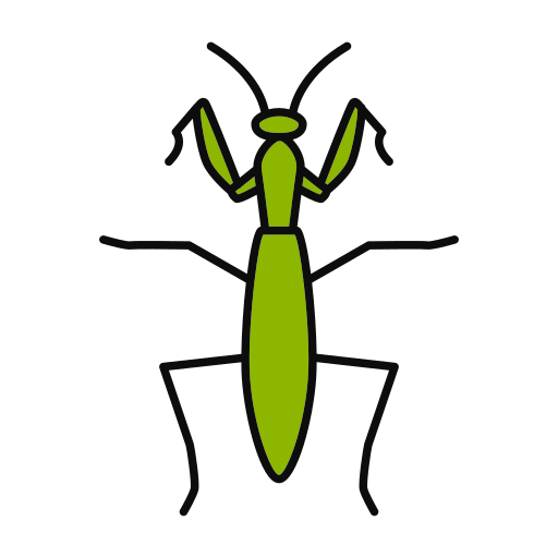 insecto icono gratis