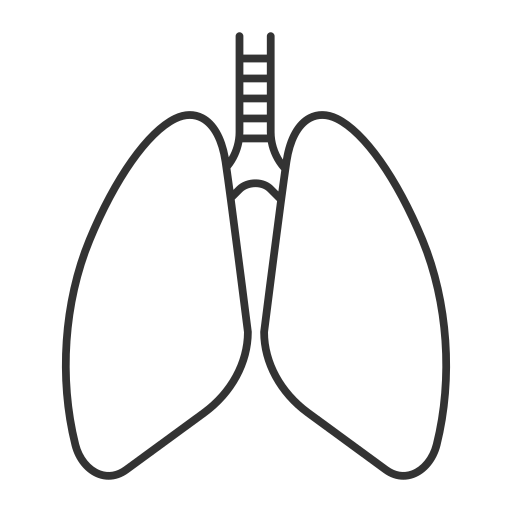Organ free icon Organ free icon