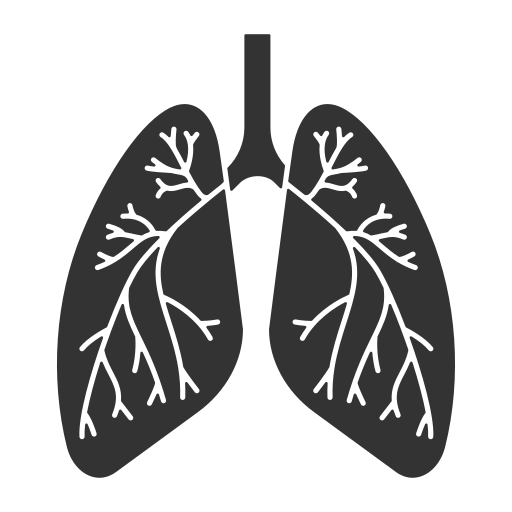 sistema respiratorio icono gratis