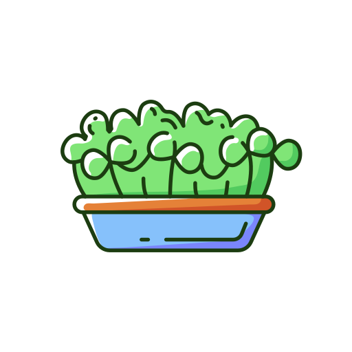 vegetariano icono gratis