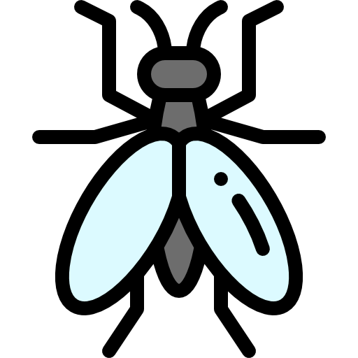 Fly Detailed Rounded Lineal color icon