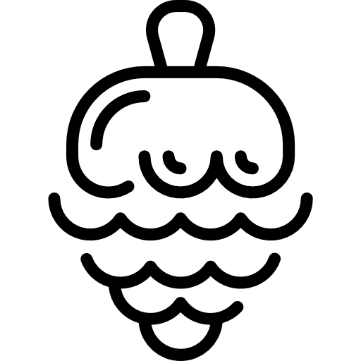 kiefer kostenlos Icon