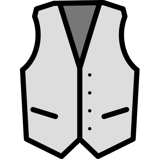 Vest Darius Dan Lineal Color icon