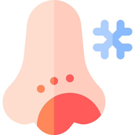 queimadura por frio grátis ícone queimadura por frio grátis ícone