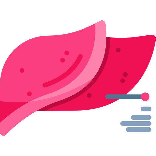 leber kostenlos Icon