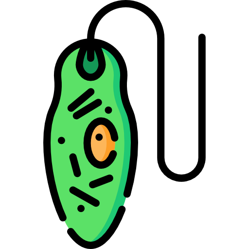 euglena icono gratis