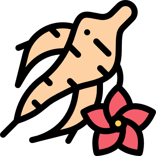 ginseng kostenlos Icon ginseng kostenlos Icon