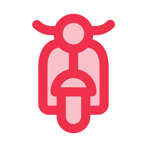 roller kostenlos Icon