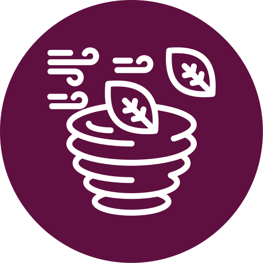 huracán icono gratis