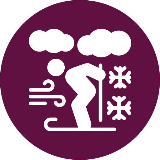 skifahren kostenlos Icon