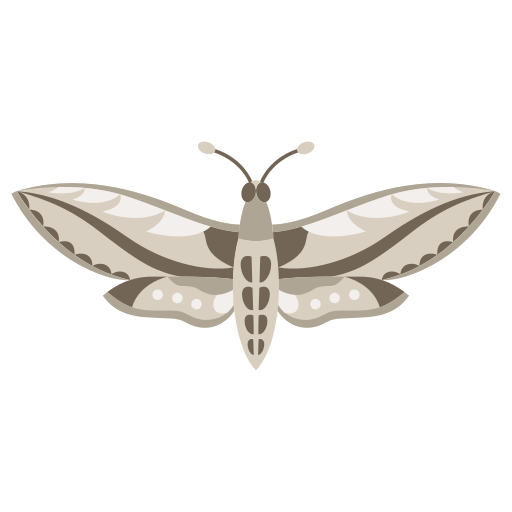 mariposa icono gratis