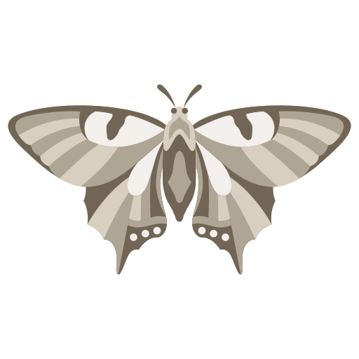 papillon Icône gratuit