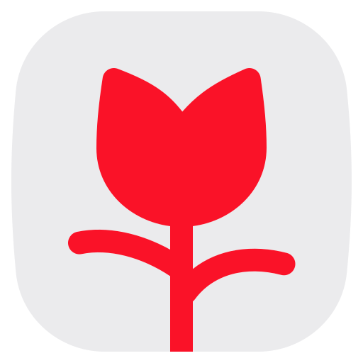 image Icône gratuit