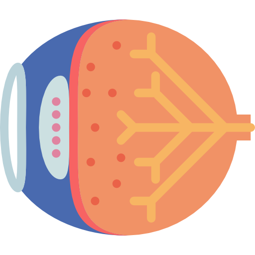 auge kostenlos Icon